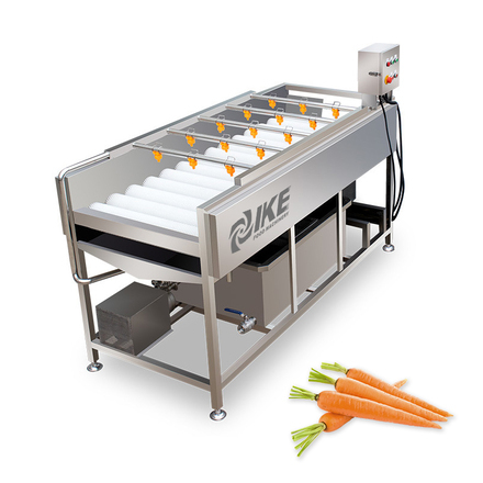 Fruit & Vegetable Cleaning Equipment with Nylon Brush Rollers